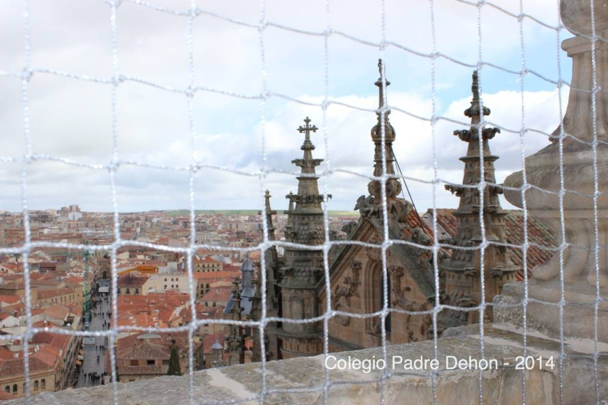 2014 03 22 SALAMANCA IERONIMUS CATEDRAL TORRE DEL RELOJ (131)